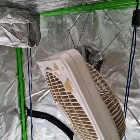 Auto Faraon #2 growlog timeline photo