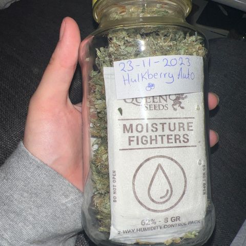 reesgrowlab HulkBerry Automatic Royal queen seeds growlog timeline photo
