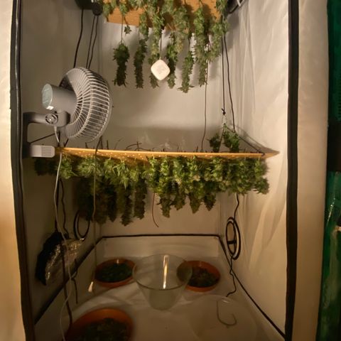 Irina  growlog timeline photo