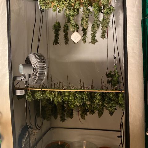 Irina  growlog timeline photo
