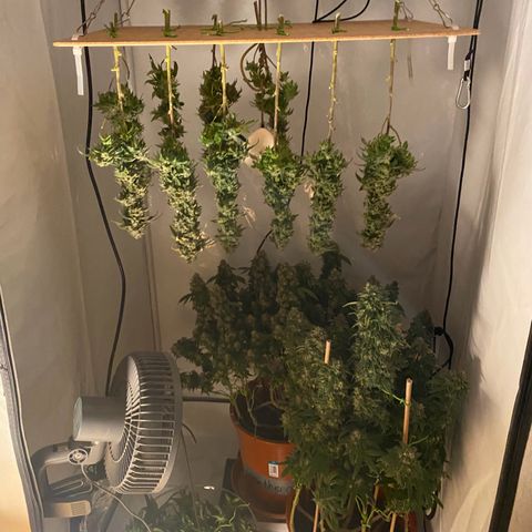 Irina  growlog timeline photo