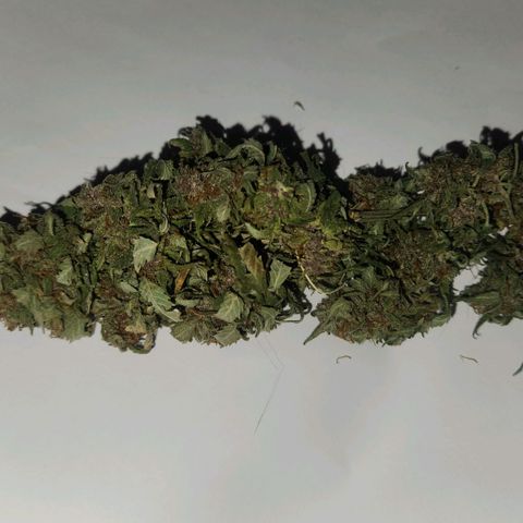 Blueberry 2 (Violet Beauregarde) Supernatural* growlog timeline photo