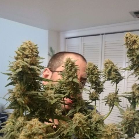 G14 #1 growlog timeline photo