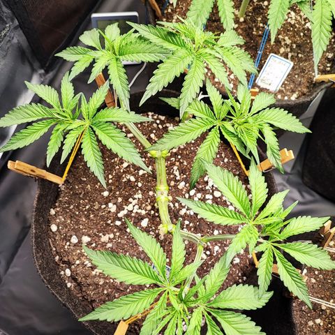 Jaina growlog photo: Dor no coração ver ela faltando um pedaço hehe