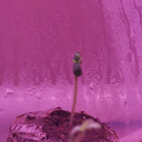 New System Test Run growlog timeline photo