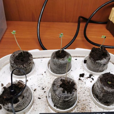 New System Test Run growlog timeline photo