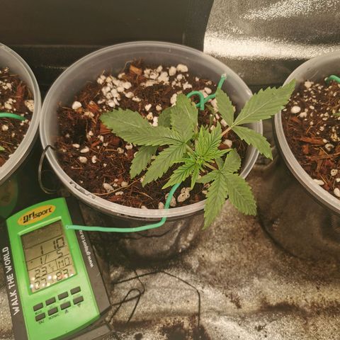 New System Test Run growlog timeline photo
