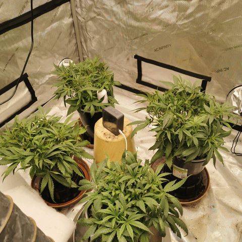 New System Test Run growlog timeline photo