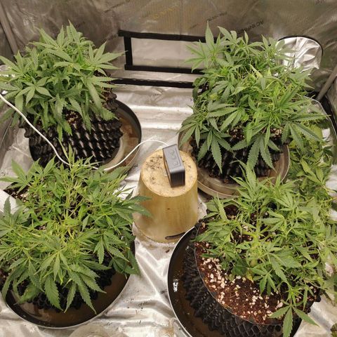 New System Test Run growlog timeline photo