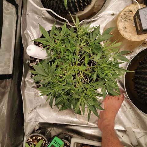 New System Test Run growlog timeline photo