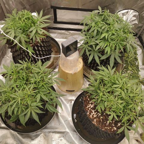 New System Test Run growlog timeline photo