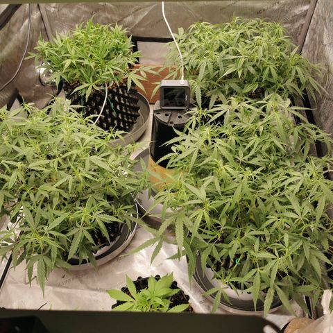 New System Test Run growlog photo: Lights off