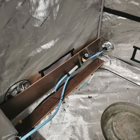New System Test Run growlog photo: Started IR training 