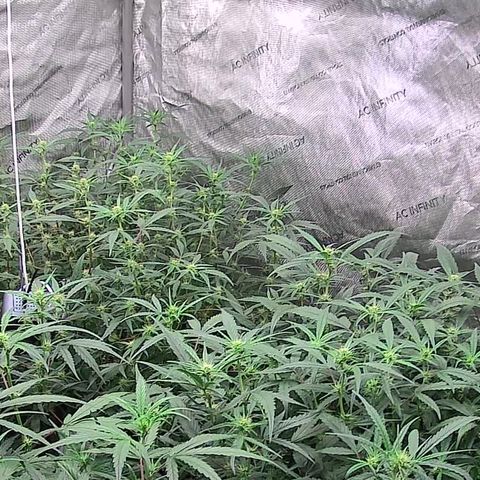 New System Test Run growlog photo: Night