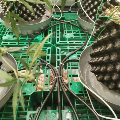 New System Test Run growlog photo: Long time coming but  drain manifold system installed 😎😎