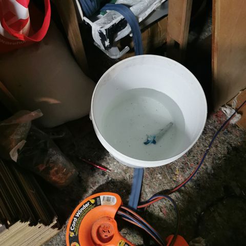 New System Test Run growlog photo: Folear grow 
