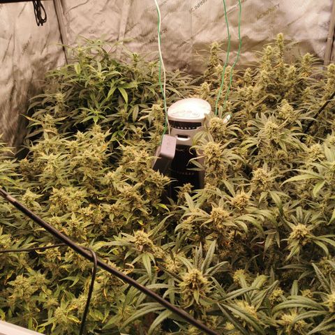 New System Test Run growlog photo: Night