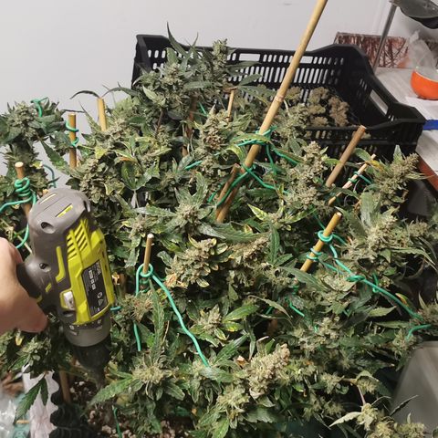 New System Test Run growlog timeline photo