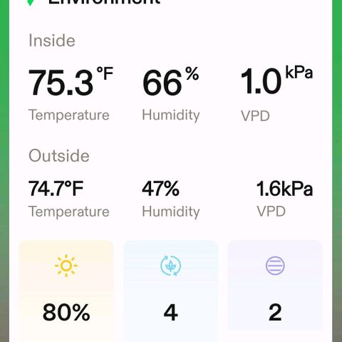 Platinum Cake growlog photo: Love my Vivosun tent!!!