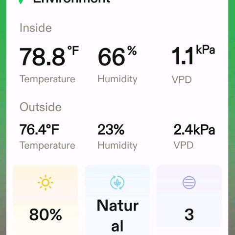 Platinum Cake growlog timeline photo