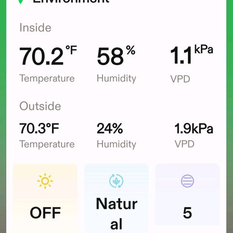 Platinum Cake growlog timeline photo