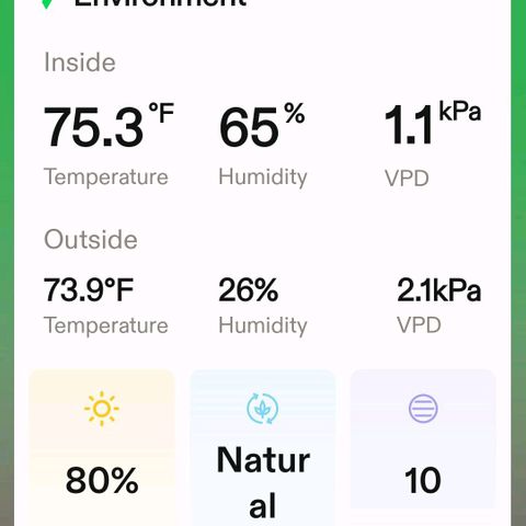 Platinum Cake growlog timeline photo