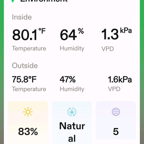 Platinum Cake growlog timeline photo