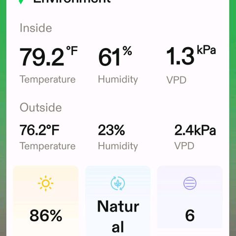 Platinum Cake growlog timeline photo