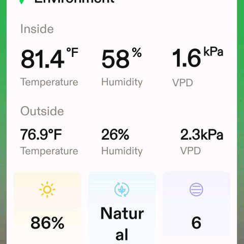 Northern Lights 1 and 2 growlog timeline photo