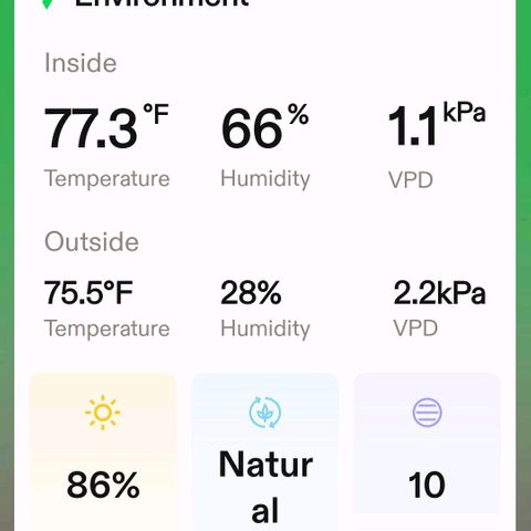 Platinum Cake growlog timeline photo