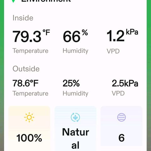 Platinum Cake growlog timeline photo