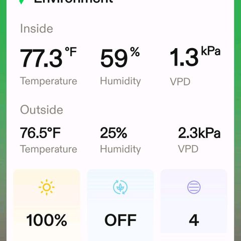 Northern Lights 1 and 2 growlog timeline photo
