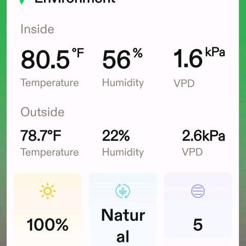 Northern Lights 1 and 2 growlog timeline photo