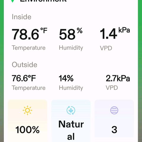 Northern Lights 1 and 2 growlog timeline photo
