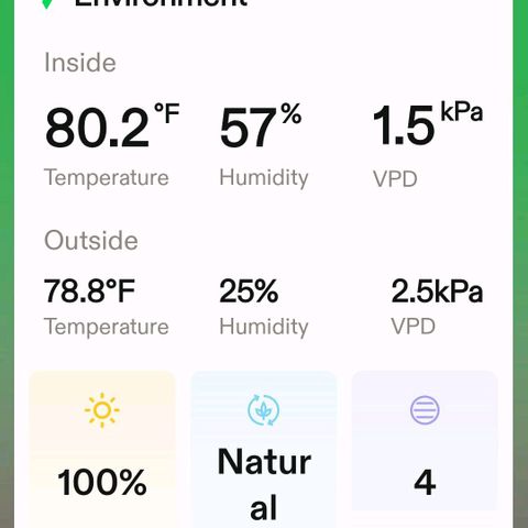 Platinum Cake growlog timeline photo
