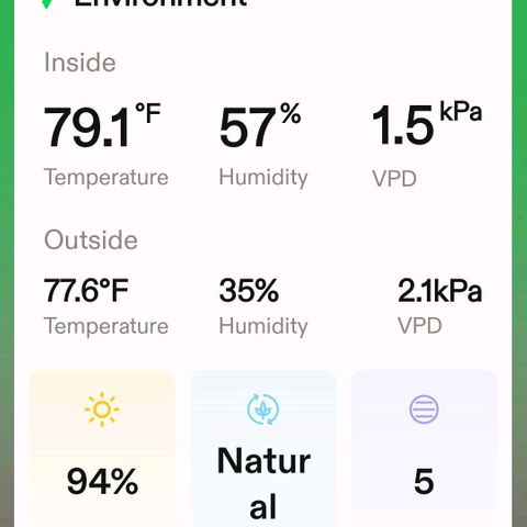Platinum Cake growlog timeline photo