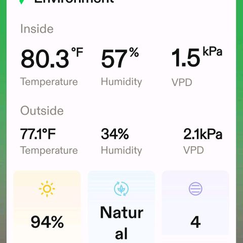 Platinum Cake growlog timeline photo