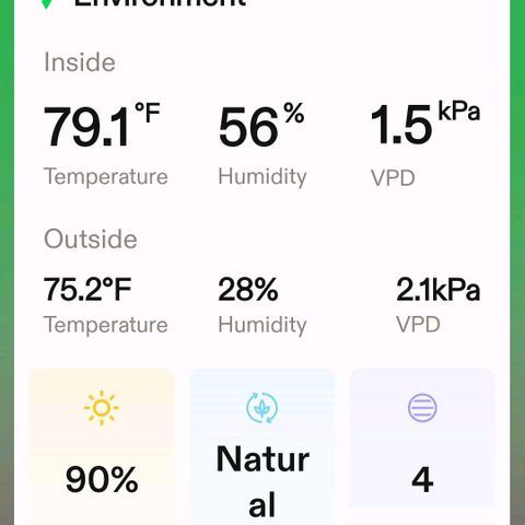 Platinum Cake growlog timeline photo