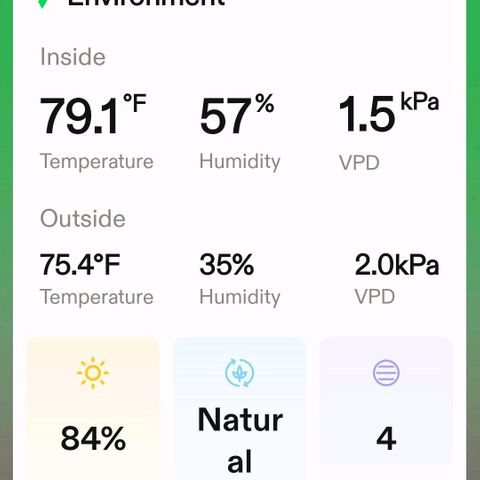 Platinum Cake growlog timeline photo