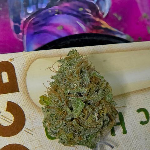 Growlog-Zeitleistenfoto von Gold Glue