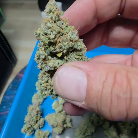 Growlog-Zeitleistenfoto von Gold Glue