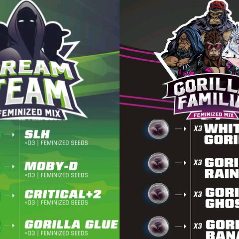 Gorilla - Dream team growlog timeline photo