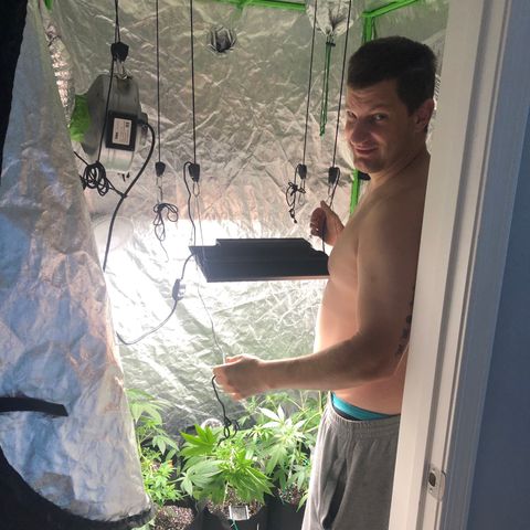 Photoperiods growlog photo: ADDED new light
Nutrients also