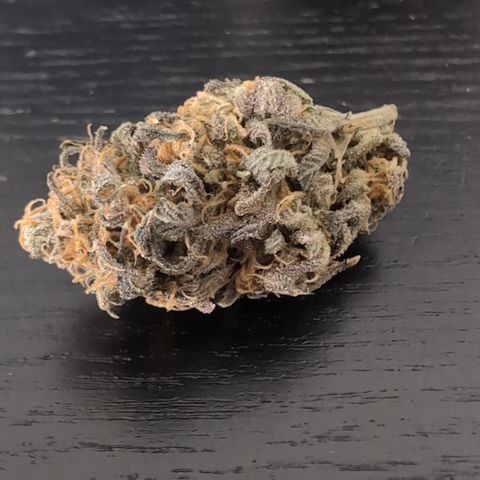 GG #4 growlog timeline photo