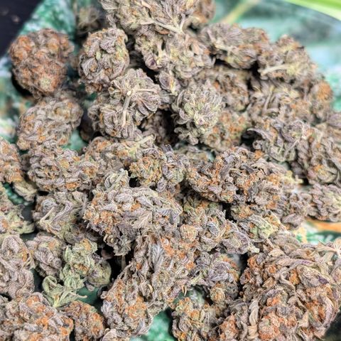 GG #4 growlog timeline photo