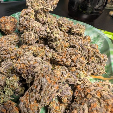 GG #4 growlog timeline photo