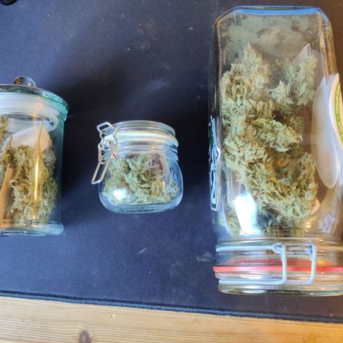 Stony growlog timeline photo