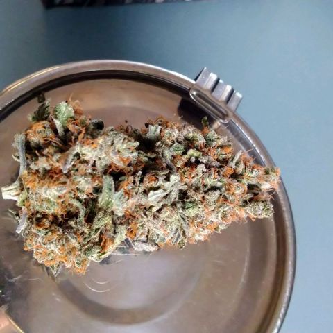 Banana growlog timeline photo