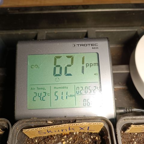 RQS Purple Queen growlog timeline photo