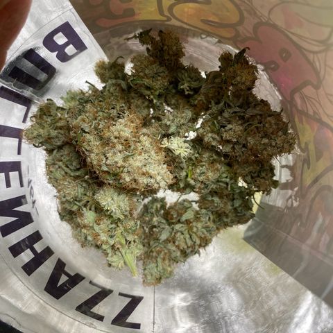 Erstgeborene  growlog photo: 63,5g leicht feucht geerntet 